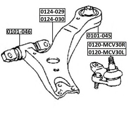 Купить ASVA 0120MCV30R Опора шаровая прав. TOYOTA/LEXUS TOYOTA ALPHARD G/V ANH10/MNH10 2002- TOYOTA ALPHARD G/V ANH15/MNH15 4WD 2002- TOYOTA CAMRY ACV30/MCV30 2001-2006 TOYOTA ESTIMA T/L