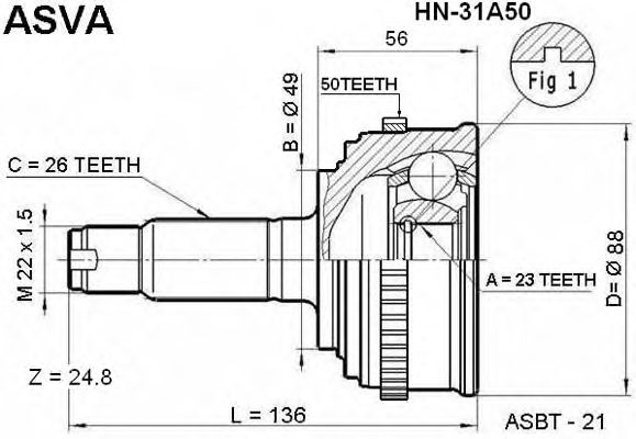 Купить ASVA HN31A50 ШРУС внешний | перед |
