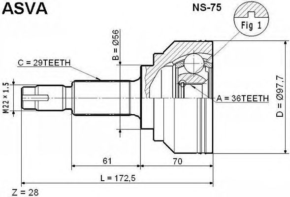 Купить ASVA NS-75 ШРУС наружный 36x56x29