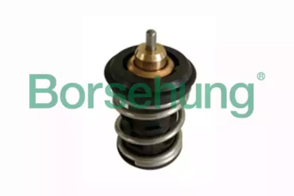 Купить BORSEHUNG B18261 Термостат