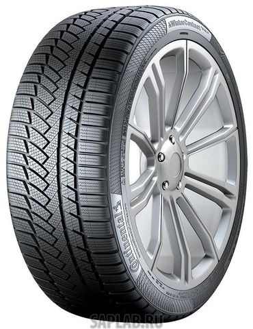 Купить CONTINENTAL 0354378 Шины Continental WinterContact TS850P SUV 255/50 R19 107V XL XL FR