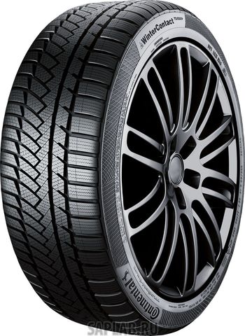 Купить CONTINENTAL 0355012 Шины Continental 205/55/17 V 95 WinterContact TS850 P XL