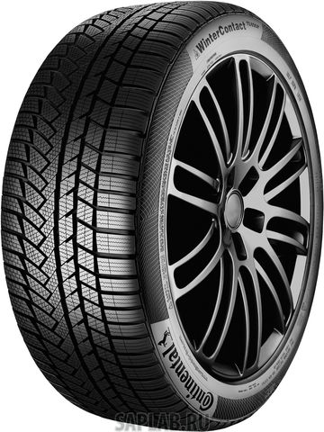 Купить CONTINENTAL 0355187 Шины Continental CONTIWINTERCONTACT TS 830 205/55R17 95H Runflat