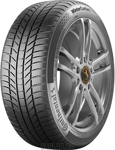 Купить CONTINENTAL 0355698 Шины Continental WinterContact TS 870 P 215/50 R17 95 H