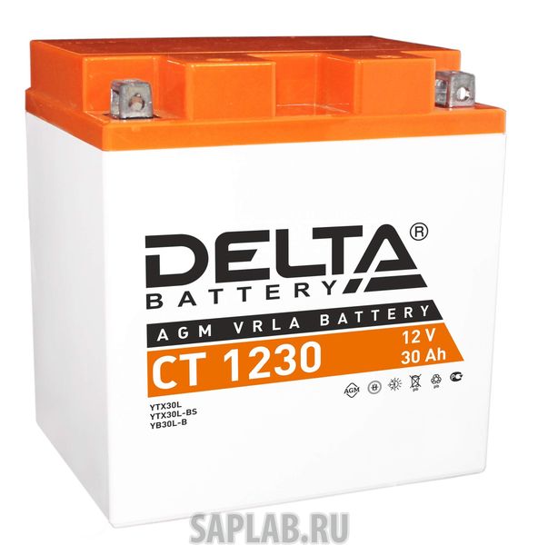 Купить DELTA 1230 Аккумулятор автомобильный  Delta CT 1230 30 Ач