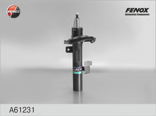 Купить FENOX A61231 Амортизатор передний правый