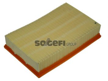Купить FRAM CA8919 Фильтр воздушный