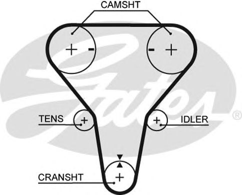 Купить GATES 5512XS Ремень зубчатый 5512XS 123 x 22 (8597-15512)