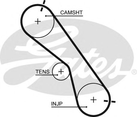 Купить GATES 5560XS Ремень зубчатый 5560XS 97 x 25 (8597-15560)