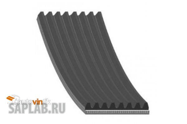 Купить GATES 8PK2035 Поликлиновой ремень 8PK2035 (8653-10602)