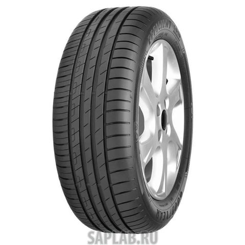 Купить GOODYEAR 576024 205/55r19 97h Xl Efficientgrip Performance Fp GOODYEAR арт. 576024