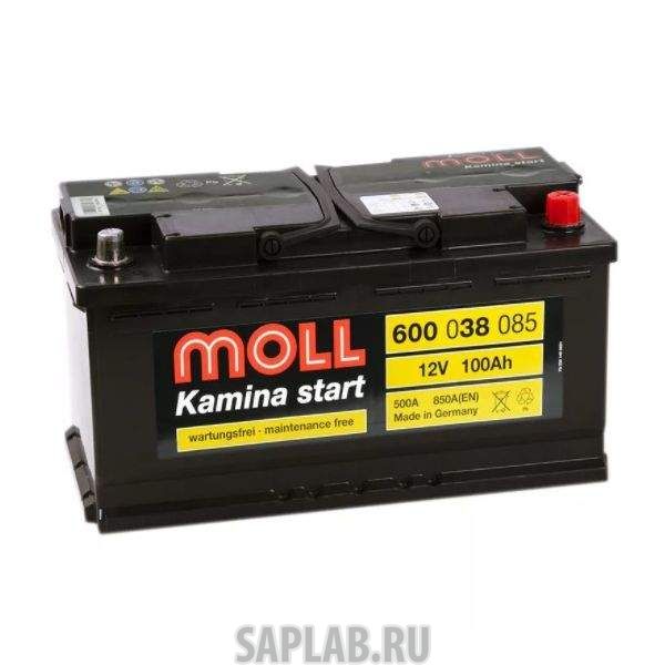 Купить MOLL 600113085 Аккумулятор MOLL Kamina Start 100R 850A 353x175x190