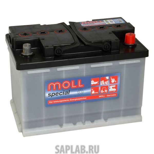 Купить MOLL 668 Аккумулятор MOLL Special EFB 80