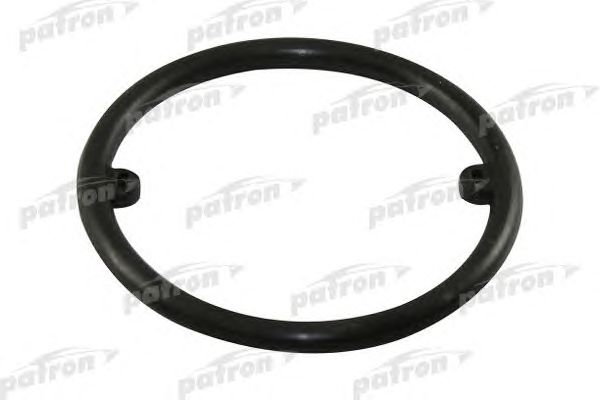 Купить PATRON P180009 Кольцо уплотнительное P180009