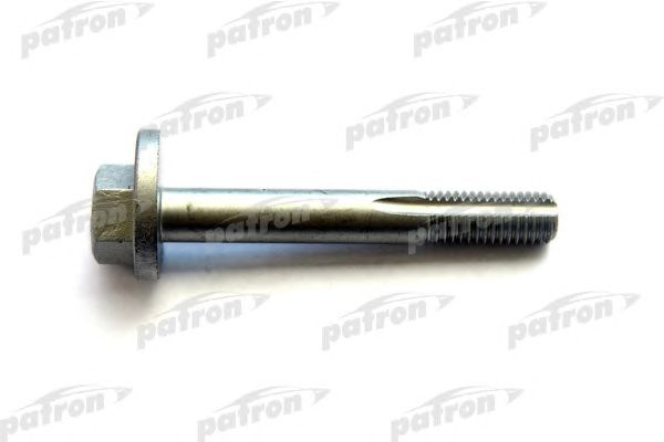 Купить PATRON PBLT001 Болт-эксцентрик развала задних колёс FORD FOCUS (DFW, DNW, DAW, DBW) 1.4/1.6/1.8/2.0/1.8Di/1.8TDCi 99-04, C-MAX 03-10