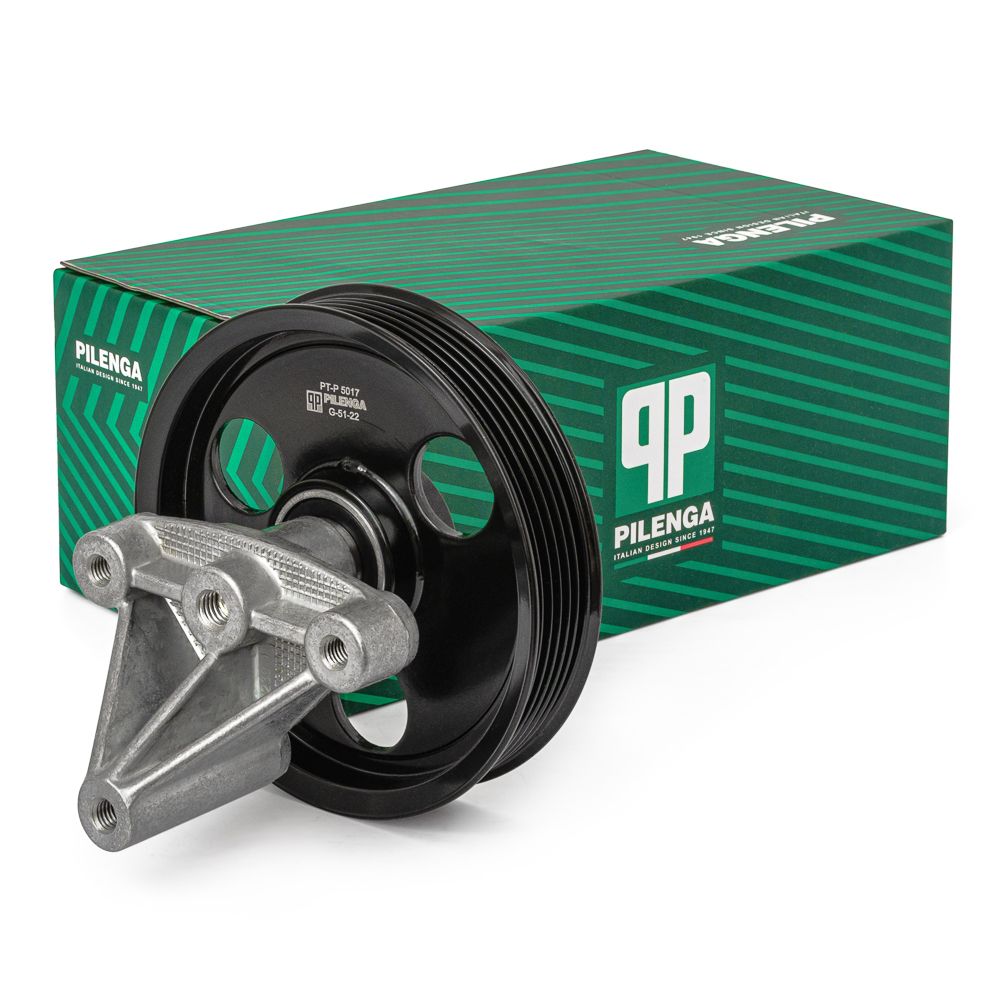 Купить PILENGA PT-P5017 Ролик ремня приводного в сборе 1 RENAULT, NISSAN LOGAN, DUSTER, SANDERO, CLIO III, KANGOO, MEGANE PT-P5017