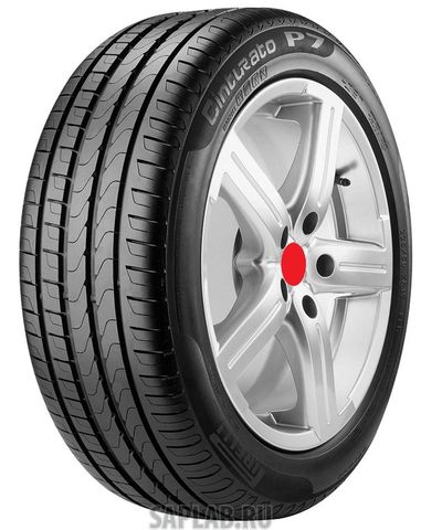 Купить PIRELLI 3814800 Шины Pirelli P7-Cnt 205/55 R16 91V