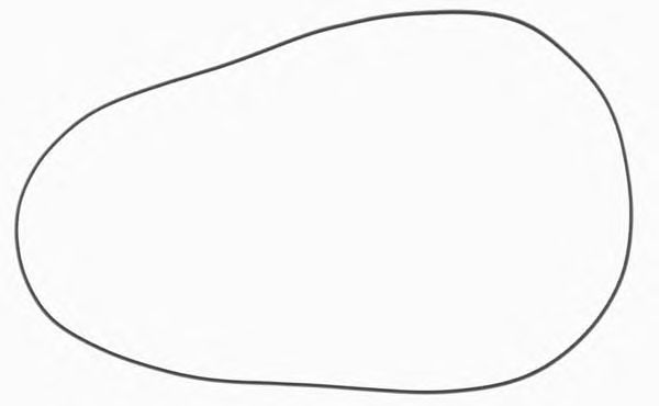 Купить REINZ 40-76723-00 Кольцо уплотнительное 40-76723-00