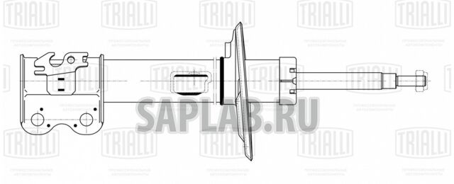 Купить TRIALLI AG19376 Амортизатор (стойка) газ. | перед прав |