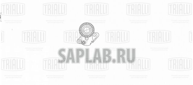 Купить TRIALLI CM5097 Ролик привод. ремня с натяж. мех.
