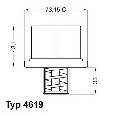 Купить WAHLER 4619.82 Термостат (82°C) /с прокладкой/